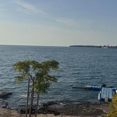 Fortuna Apartment Tar-Vabriga Εξωτερικό φωτογραφία