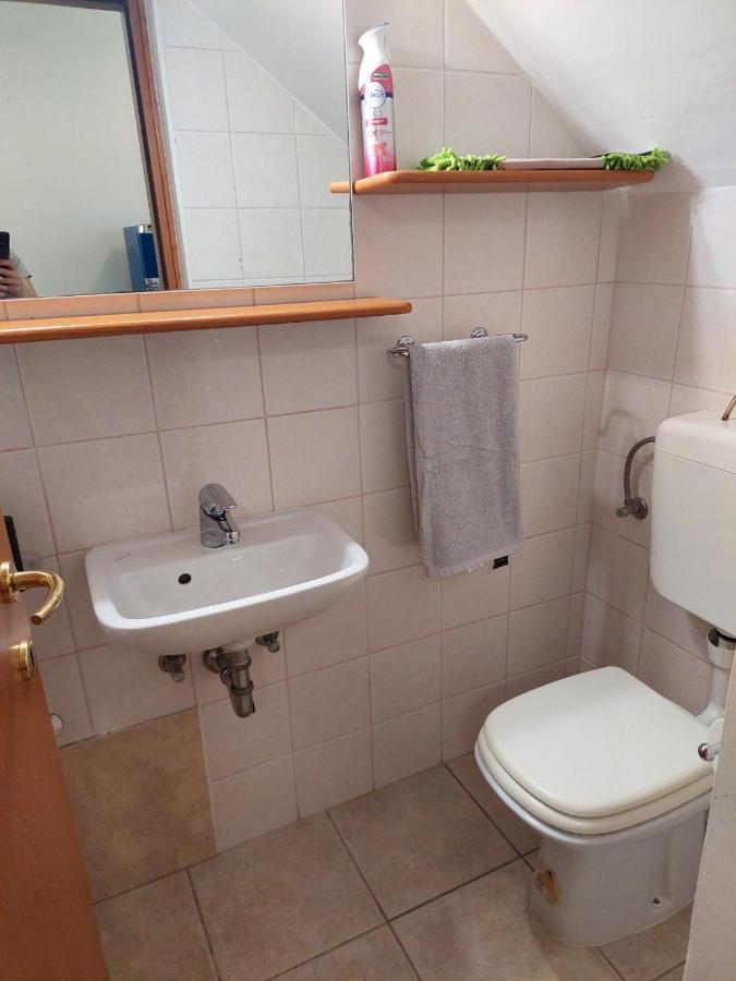 Fortuna Apartment Tar-Vabriga Εξωτερικό φωτογραφία
